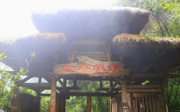 冷知识分享平台-立春吃什么传统食物,轻松探索独特的知识宝库